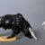 Uderzo - L'auroch et Asterix  - Figurine Pixi - 2020 – Image 6