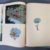 Franquin - Spirou et Fantasio - Le dictateur et le champignon - EO - 1956 – Image 19
