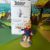 Uderzo et Goscinny - Asterix Origines - Présentoir + 10 figurines - Pixi - 2012 – Image 9