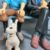 Tintin, Haddock, Tournesol et Milou assis sur le banc - Leblon Delienne – Image 5