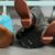 Tintin, Haddock, Tournesol et Milou assis sur le banc - Leblon Delienne – Image 3