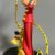 Franquin - Spirou et le Marsupilami - Version couleur - Collector BD - 2023 – Image 4