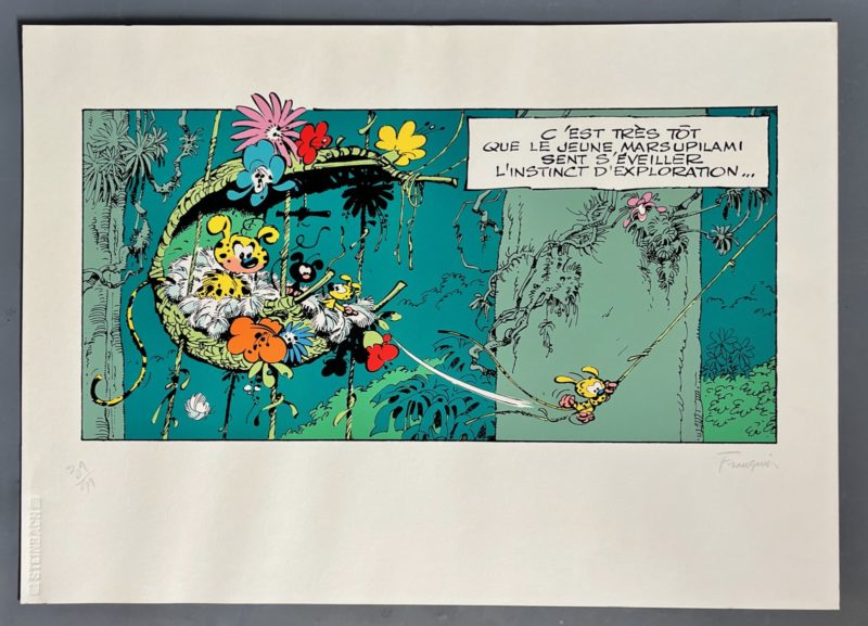 Franquin - Spirou et Fantasio - Le jeune marsupilami - Breydel - 1987