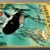 Hergé - Les Aventures de Tintin - Le trésor de Rackham le Rouge - B26 - 1958 – Image 6