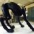 Vandeersteen, Willy - Lambique dans les griffes du Chat Noir - Sculpture géante – Image 2