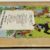 Hergé - Les Aventures de Tintin au pays de l'or noir - EO - B4 - Casterman - 1950 – Image 7
