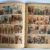 Hergé - Les Aventures de Tintin - Le Lotus Bleu - EO - B1 - 1946 – Image 16