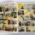 Album du Journal Spirou - 33 - 13e année - 1950 – Image 10