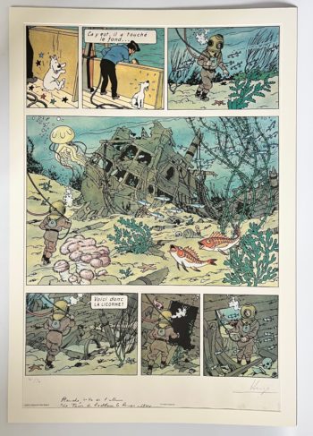 Hergé - Litographie WWF - Tintin - Le trésor de Rackham le Rouge - Série d'Auteur - Signée - Numérotée - 1981